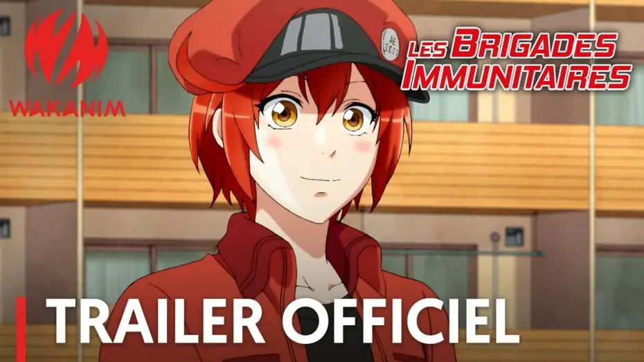Video for the series Cells at Work! — Les Brigades Immunitaires - Bande Annonce #2 [VOST]