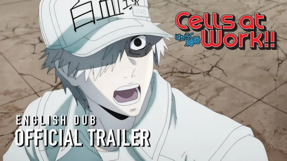 Video for the series Cells at Work! — Cells at Work!! — Cells at Work!! English Dub Trailer