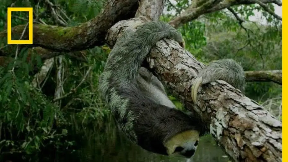 Video for the series Hostile Planet — Welcome to Hospitable Planet | National Geographic