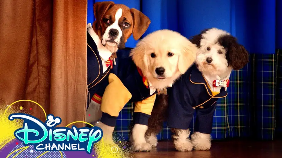 Video for the series Pup Academy — Theme Song 🎶 ft. Dakota Lotus | Pup Academy | Disney Channel