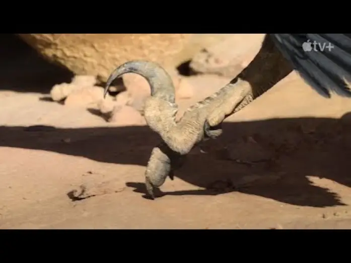 Видео к сериалу Prehistoric Planet — Prehistoric Planet (MAGNIFICENT) - Trailer en Español