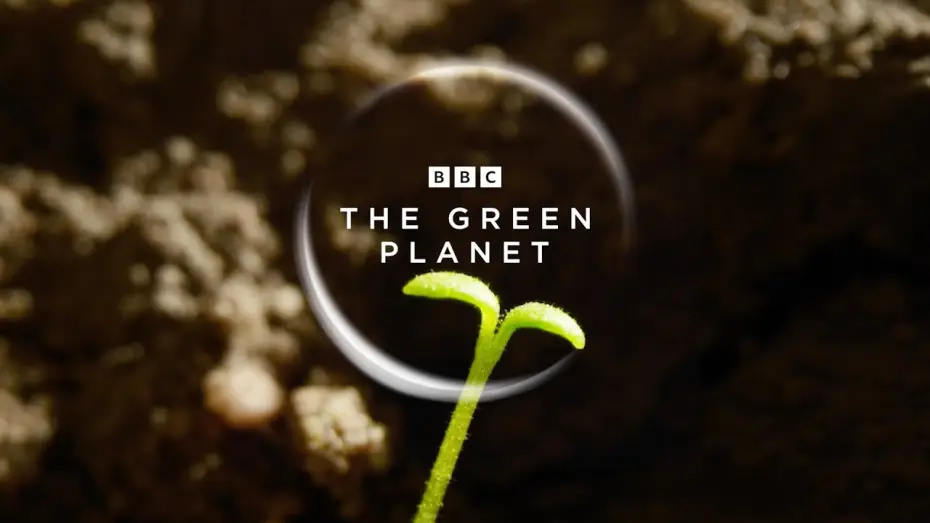 Video for the series The Green Planet — The Green Planet | Official Trailer | New Attenborough Series | BBC Earth