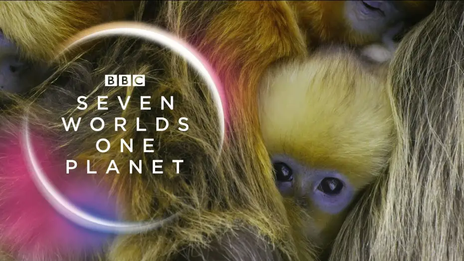 Video for the series Seven Worlds, One Planet — Seven Worlds, One Planet: Extended Trailer (ft Sia and Hans Zimmer) | New David Attenborough Series