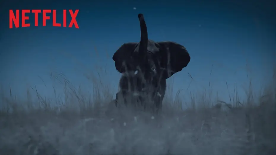 Video for the series Night on Earth — La Terre, La Nuit - Bande Annonce [VF]