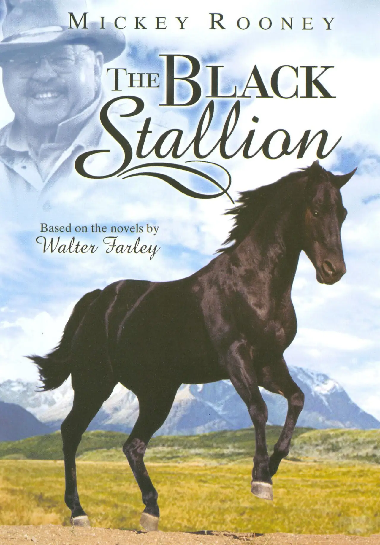 Series poster "The Adventures of the Black Stallion"