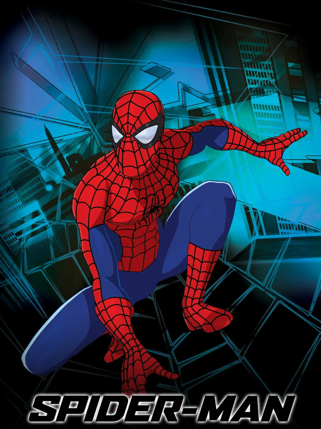 Series poster "Spider-Man: The New Animated Series"