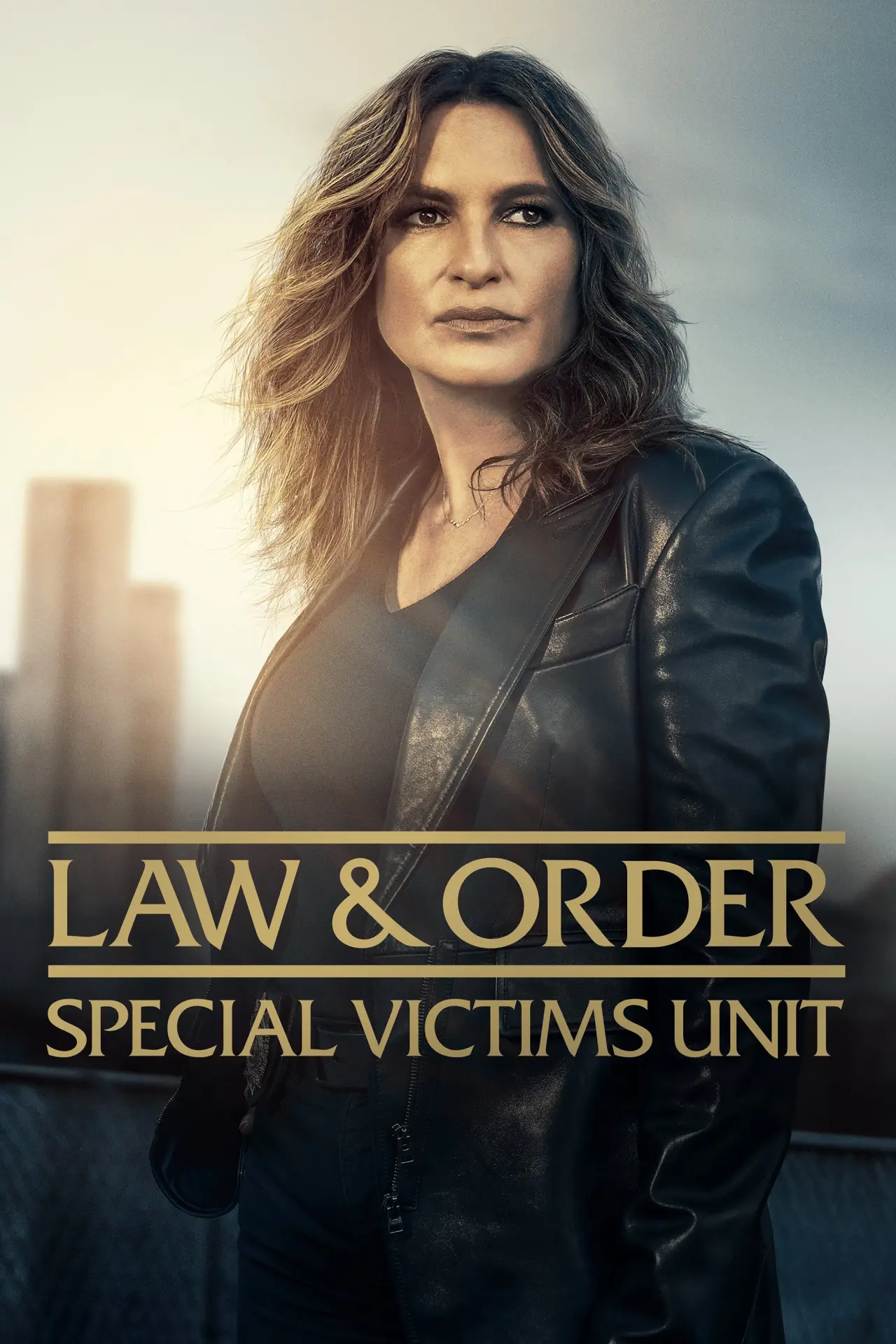 Постер к сериалу "Law & Order: Special Victims Unit"