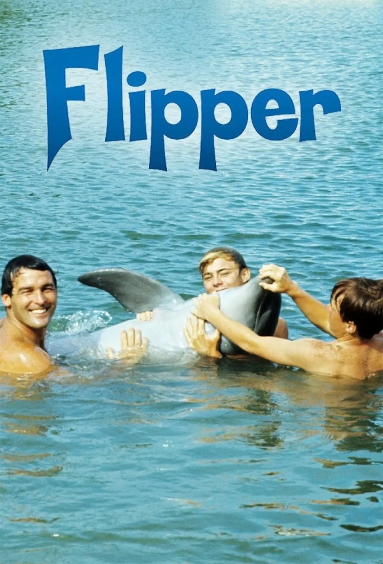 Series poster "Flipper"