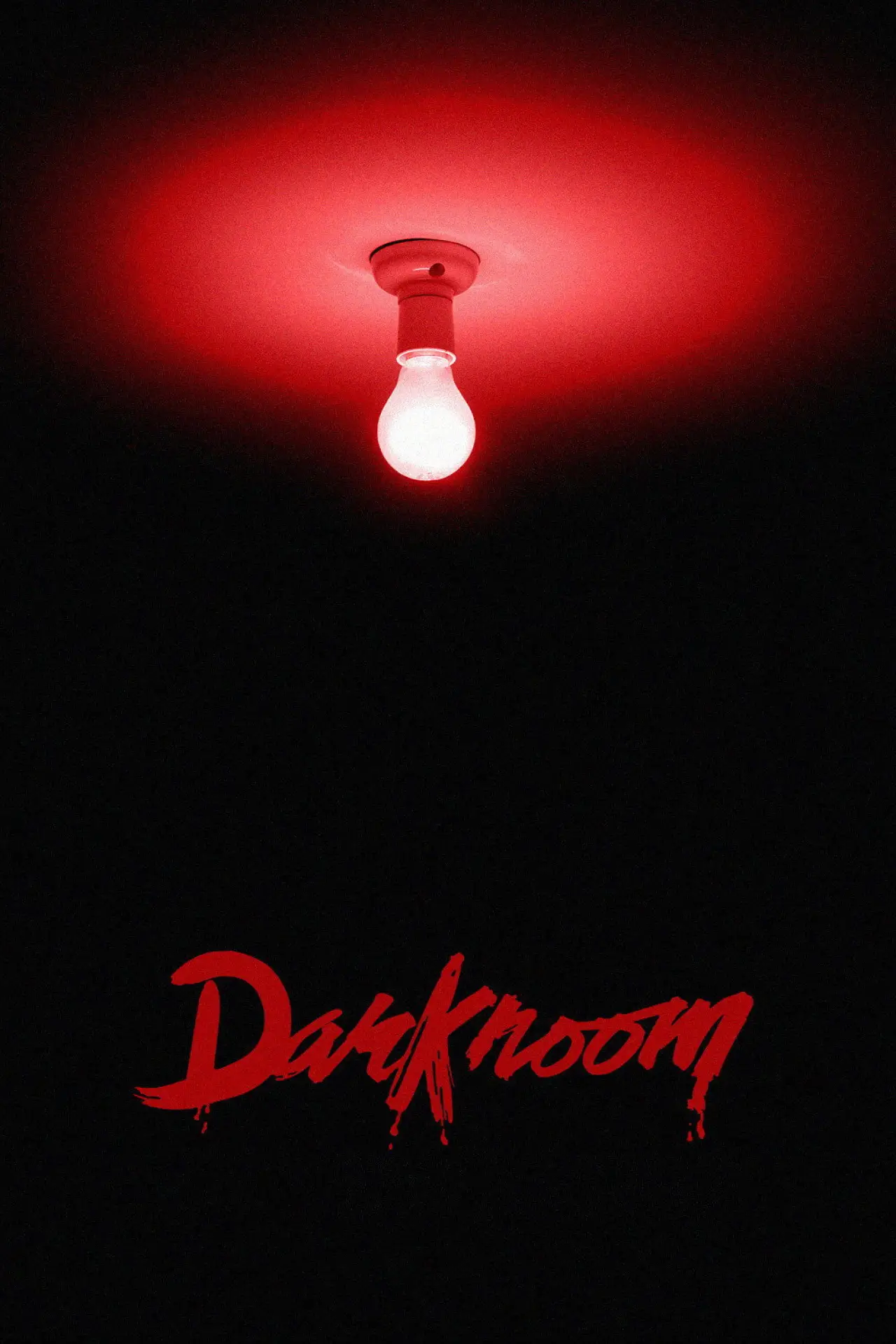 Series poster "Darkroom"