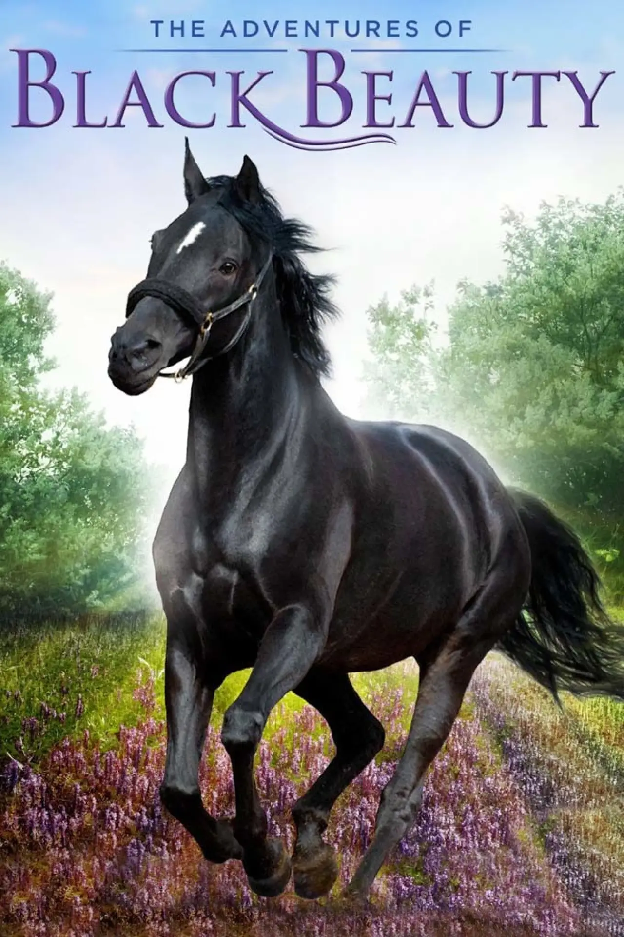 Series poster "The Adventures of Black Beauty"
