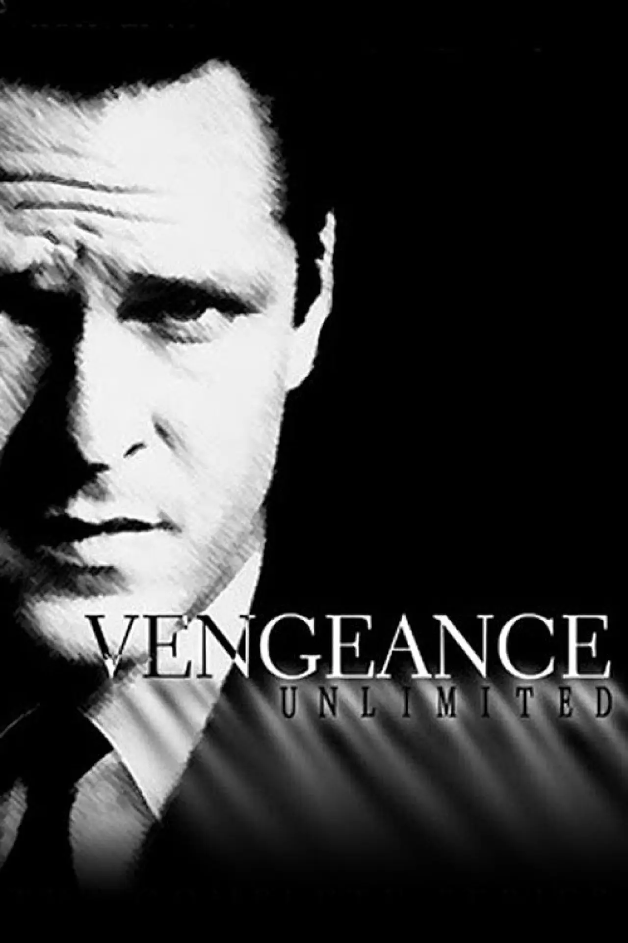 Series poster "Vengeance Unlimited"