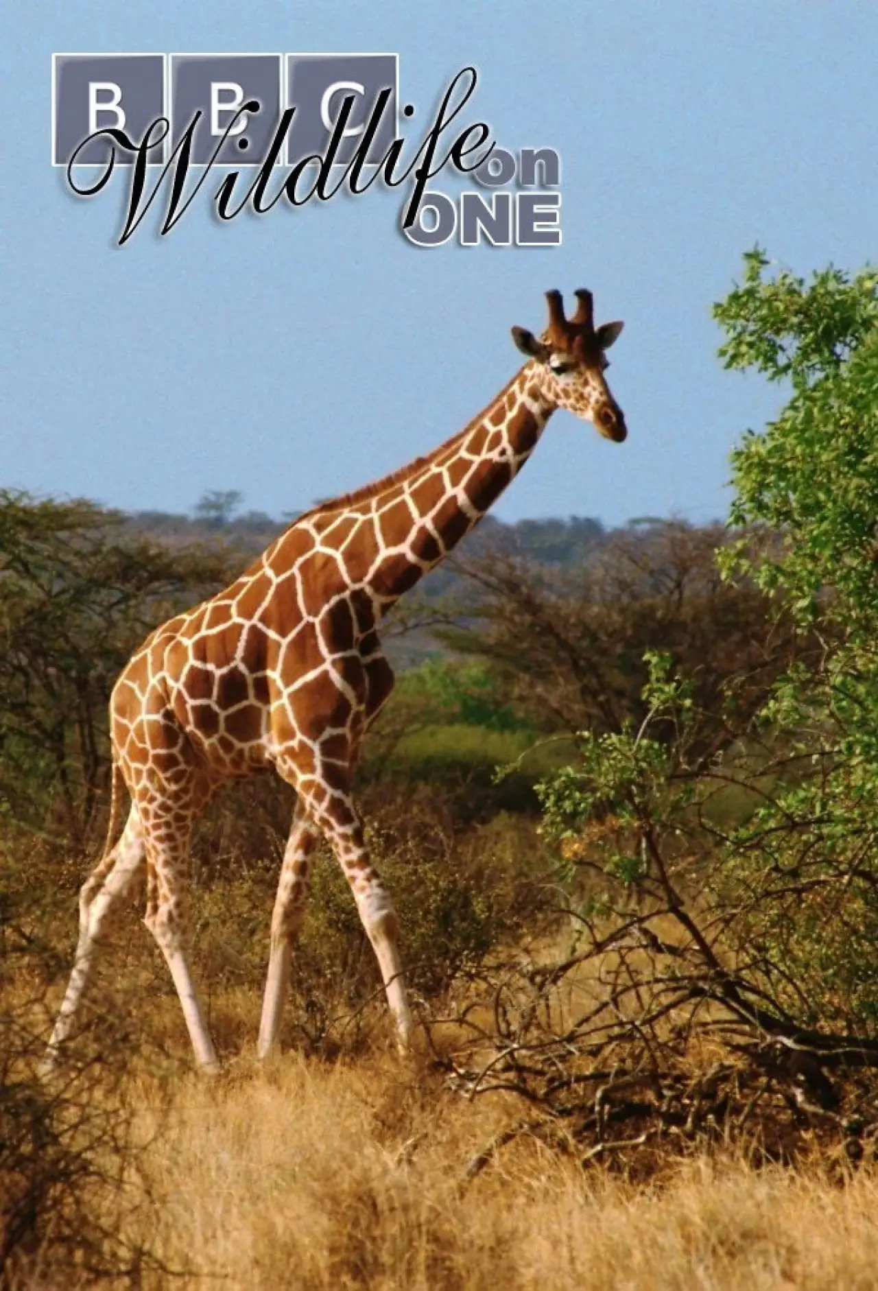 Series poster "Wildlife on One"