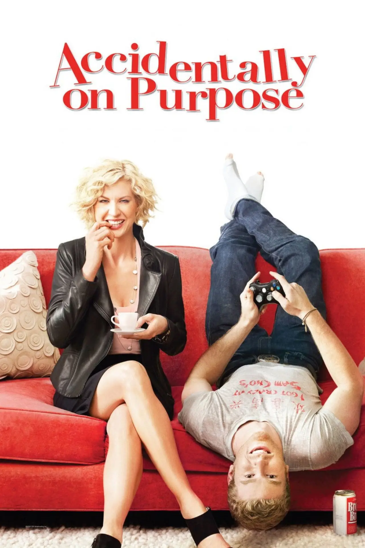Series poster "Accidentally on Purpose"