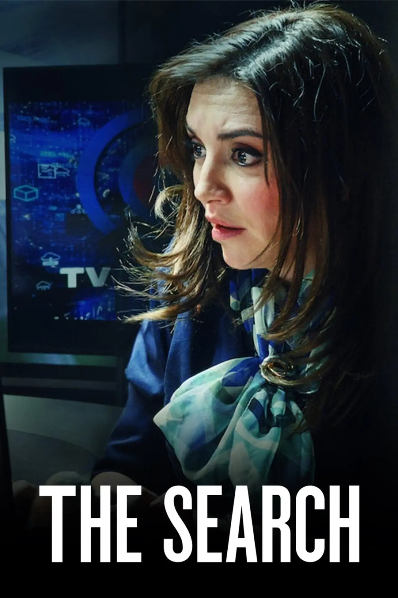 Series poster "The Search"