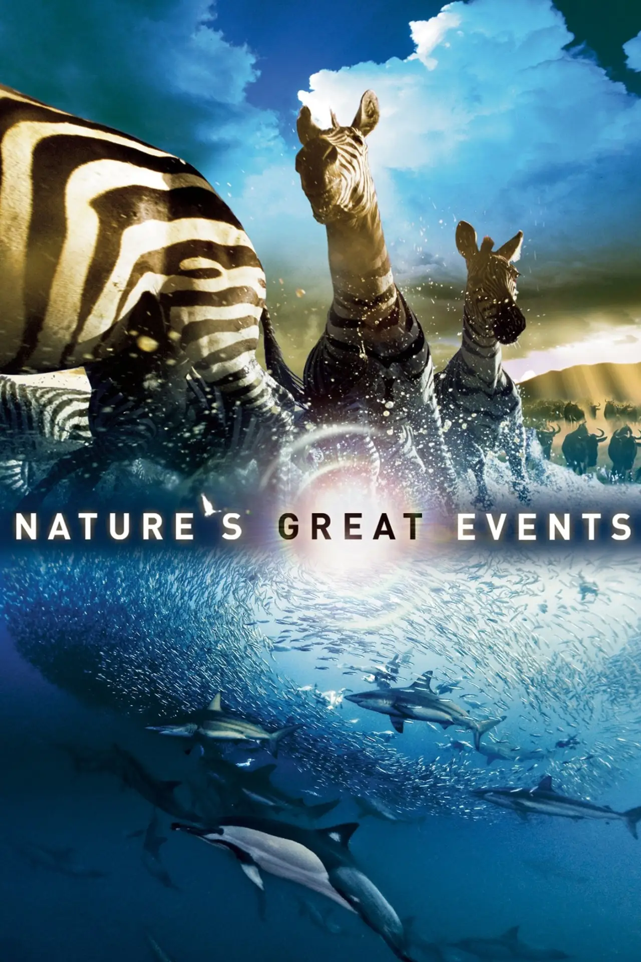 Series poster "Nature