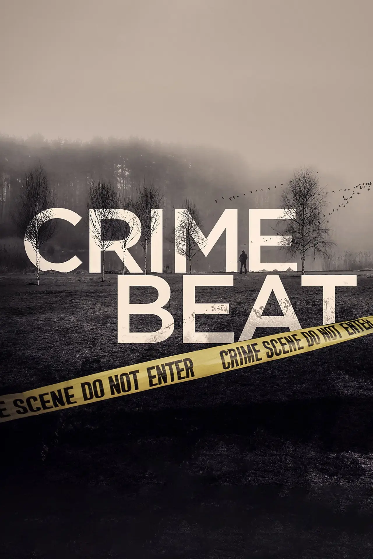 Series poster "Crime Beat"