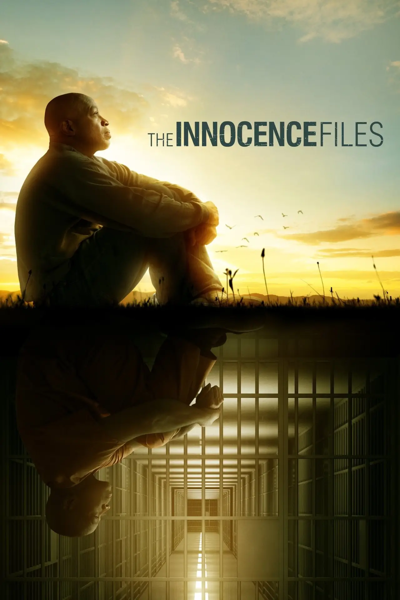 Series poster "The Innocence Files"