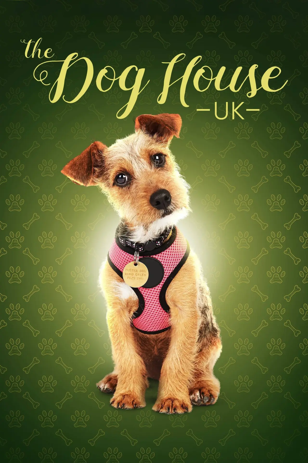 Series poster "The Dog House"