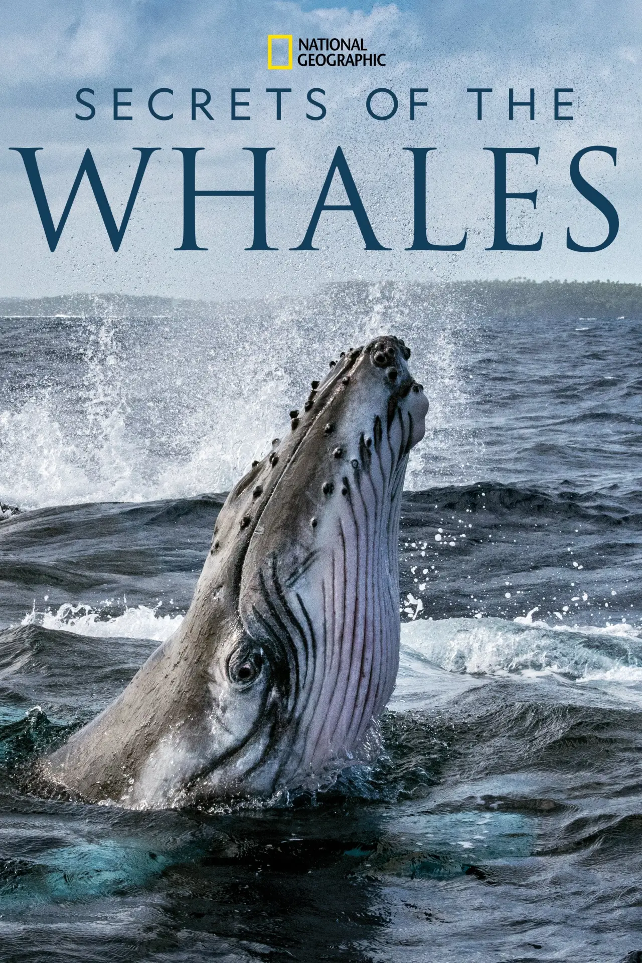 Series poster "Secrets of the Whales"