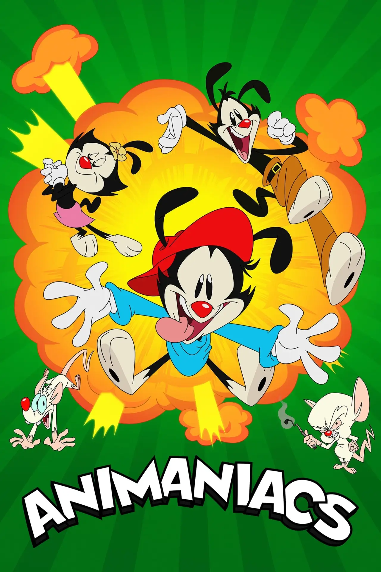 Постер к сериалу "Animaniacs"