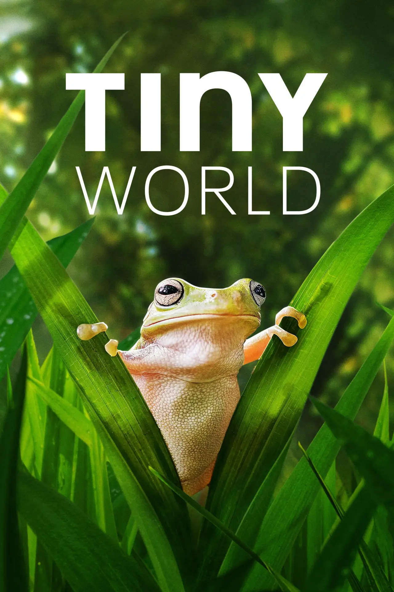 Series poster "Tiny World"
