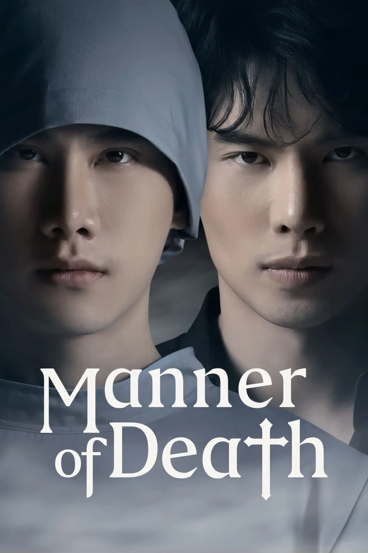 Series poster "Manner of Death"