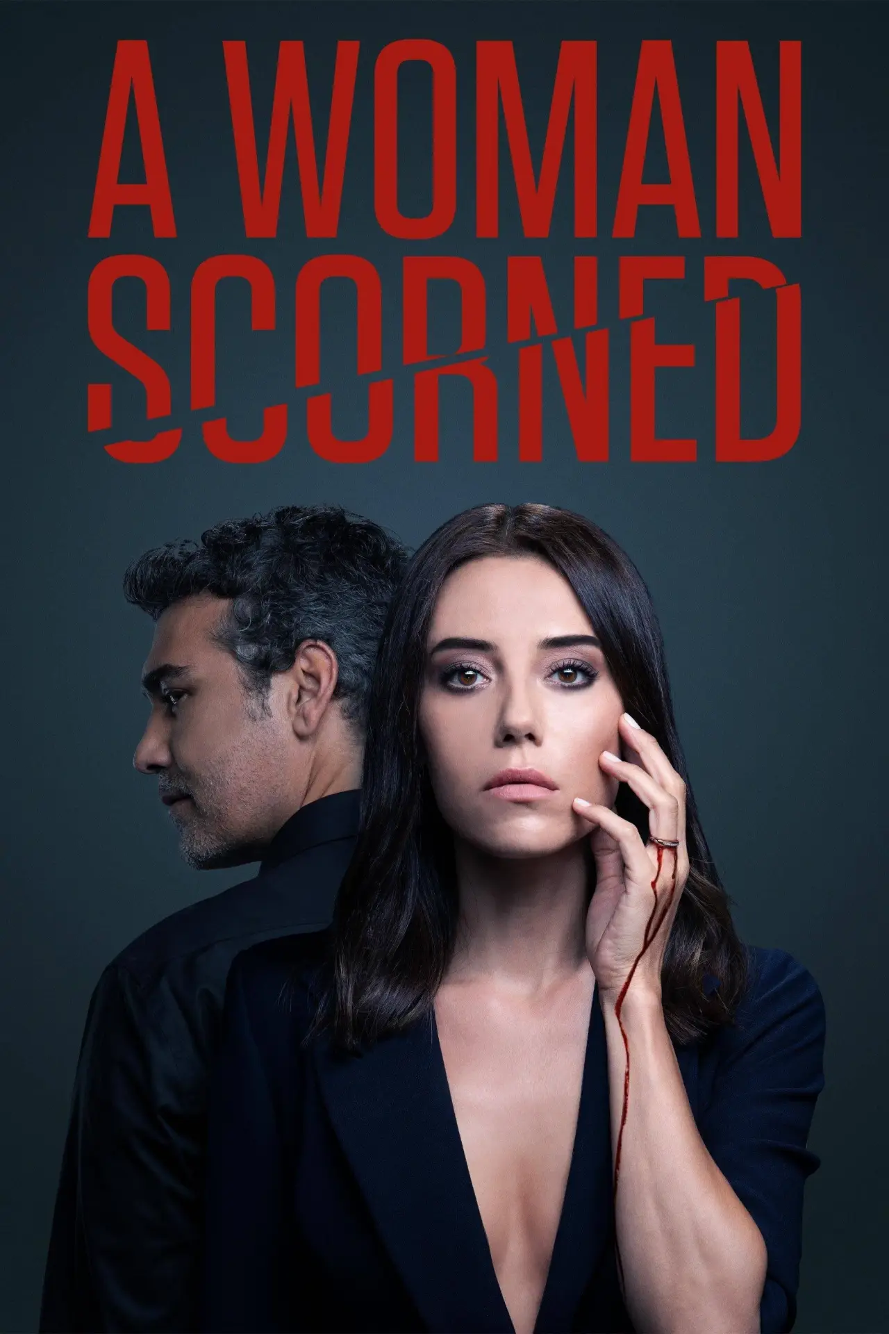 Постер к сериалу "A Woman Scorned"