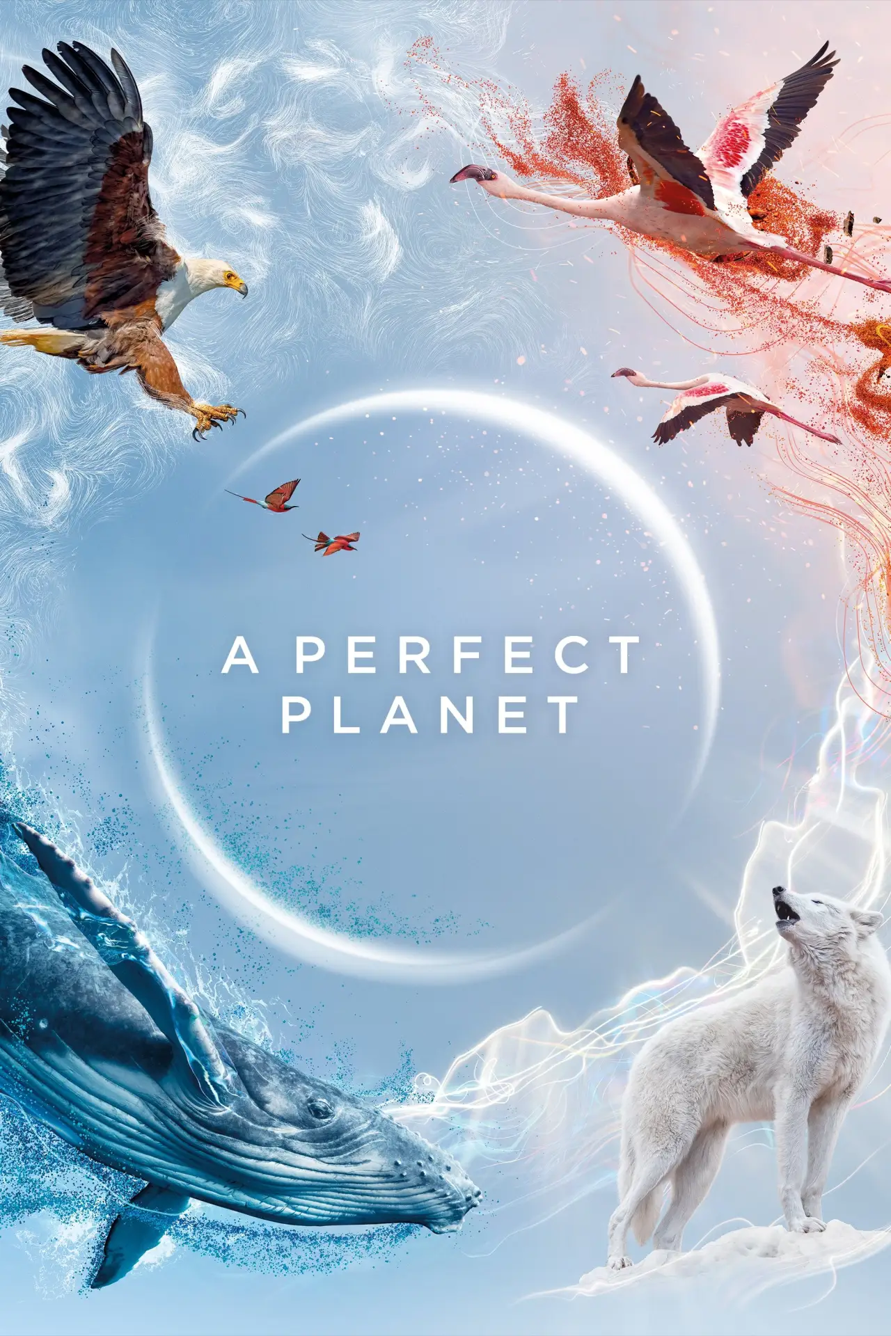 Series poster "A Perfect Planet"