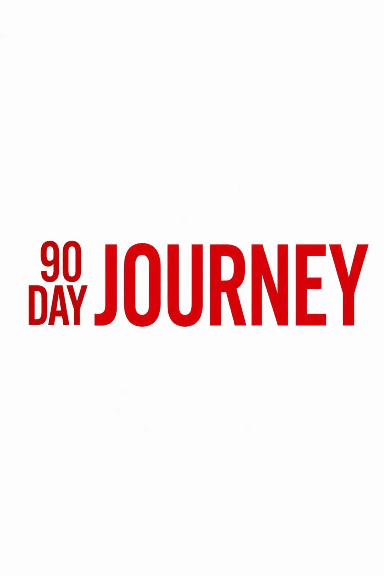 Series poster "90 Day Journey"