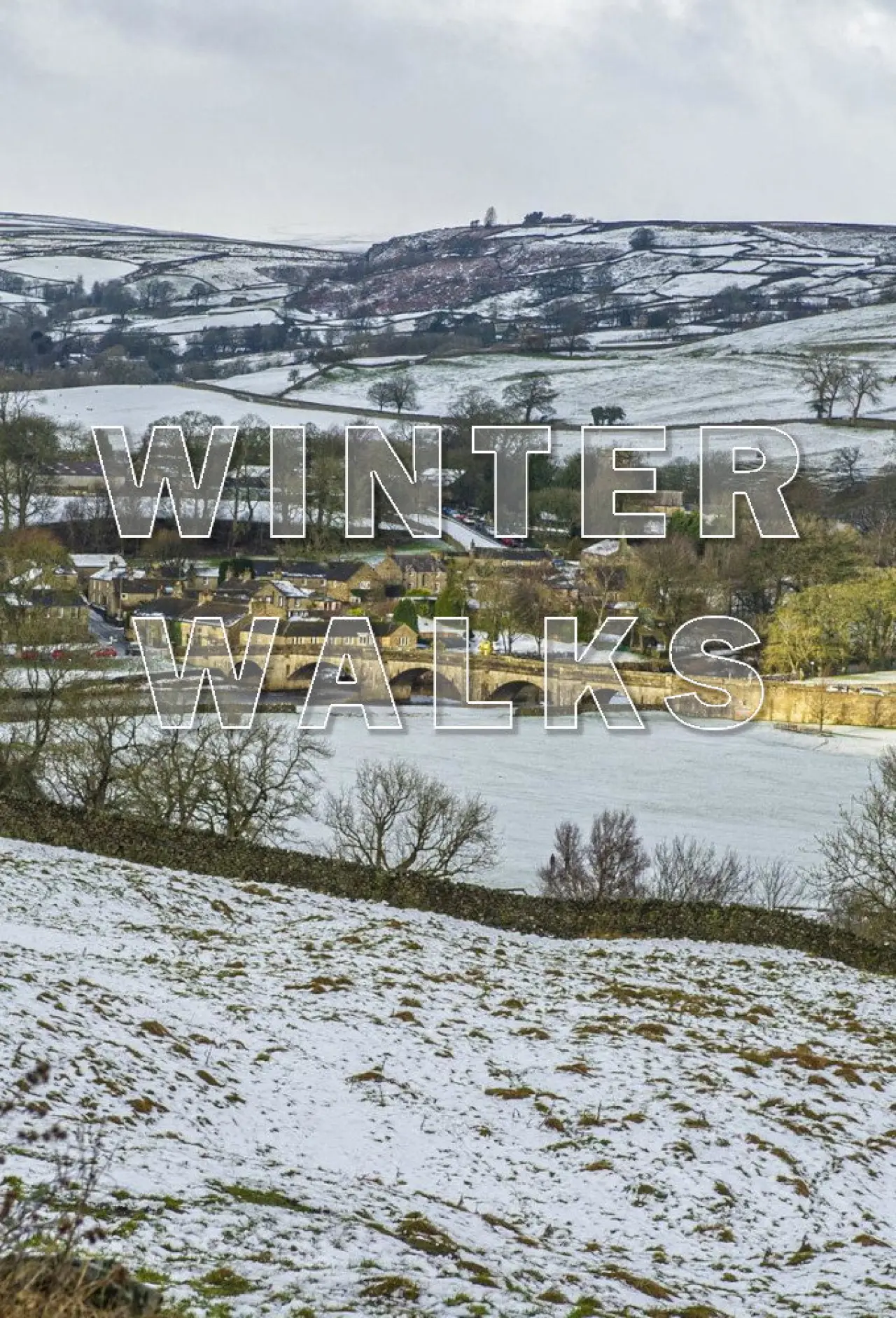 Series poster "Winter Walks"