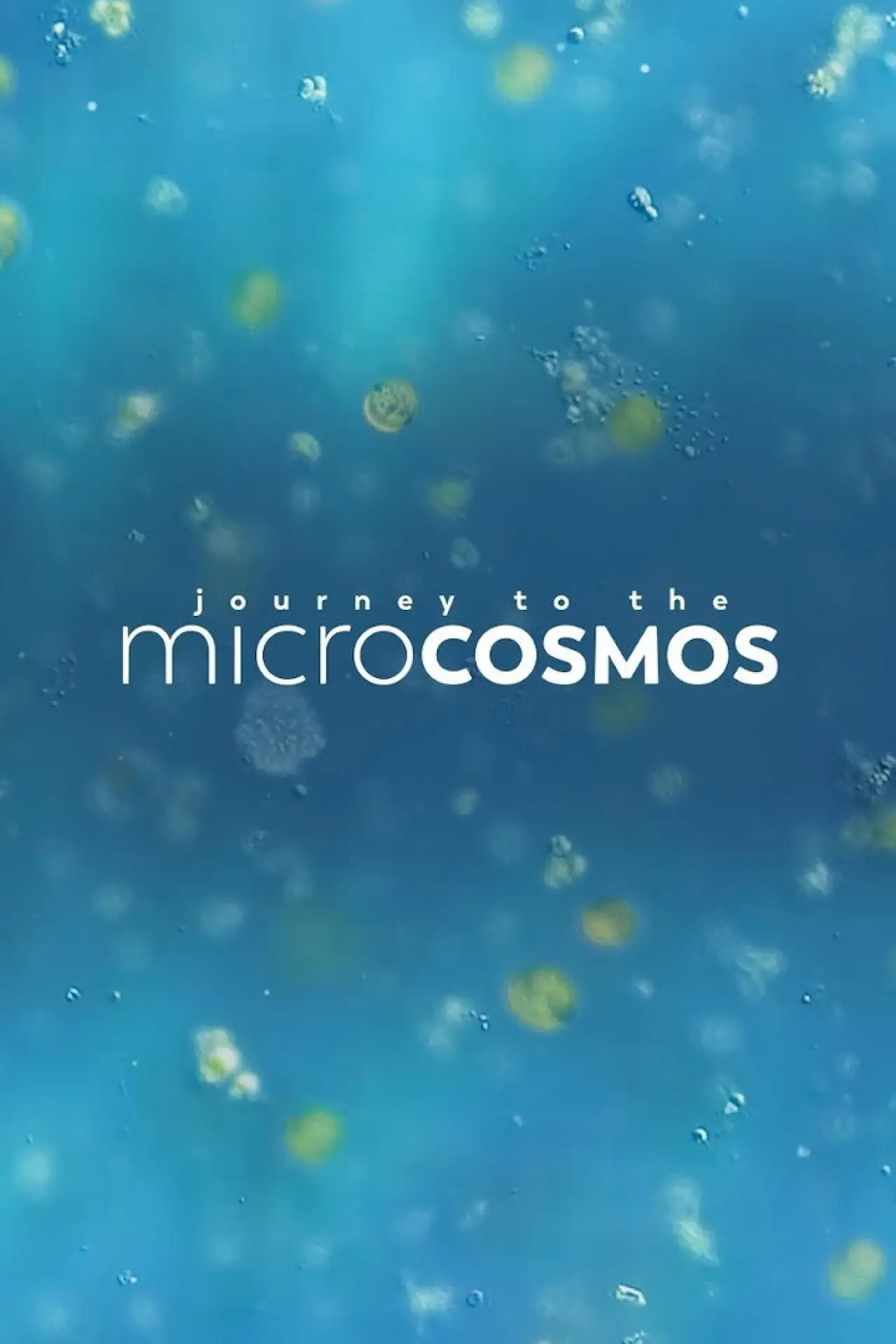 Series poster "Journey to the Microcosmos"