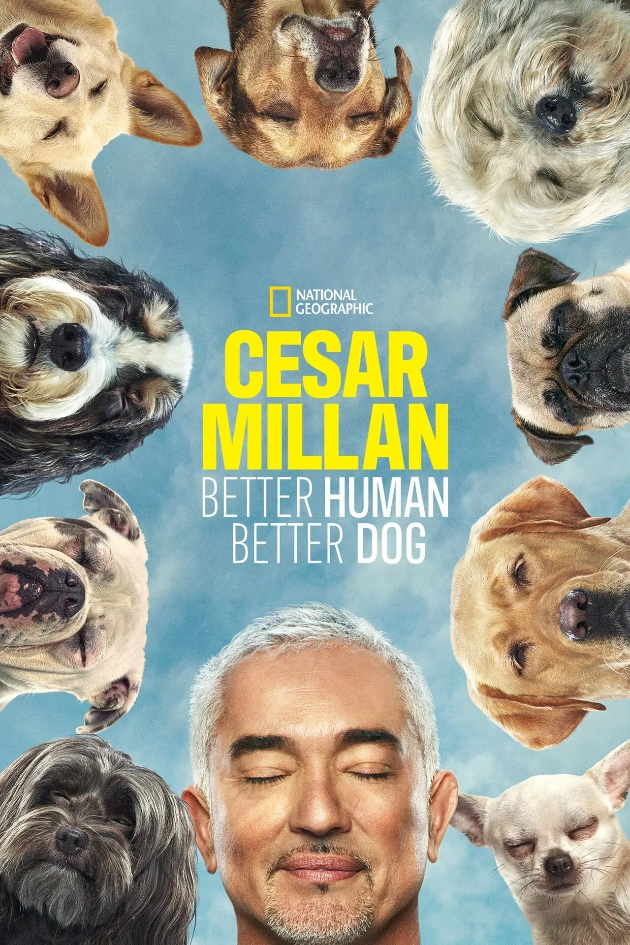 Series poster "Cesar Millan: Better Human, Better Dog"