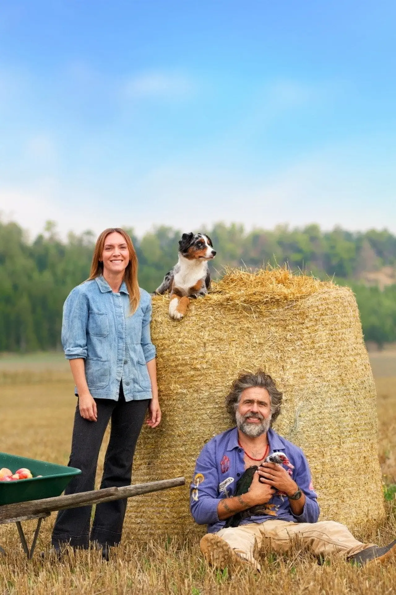 Series poster "Help! We Bought a Farm!"