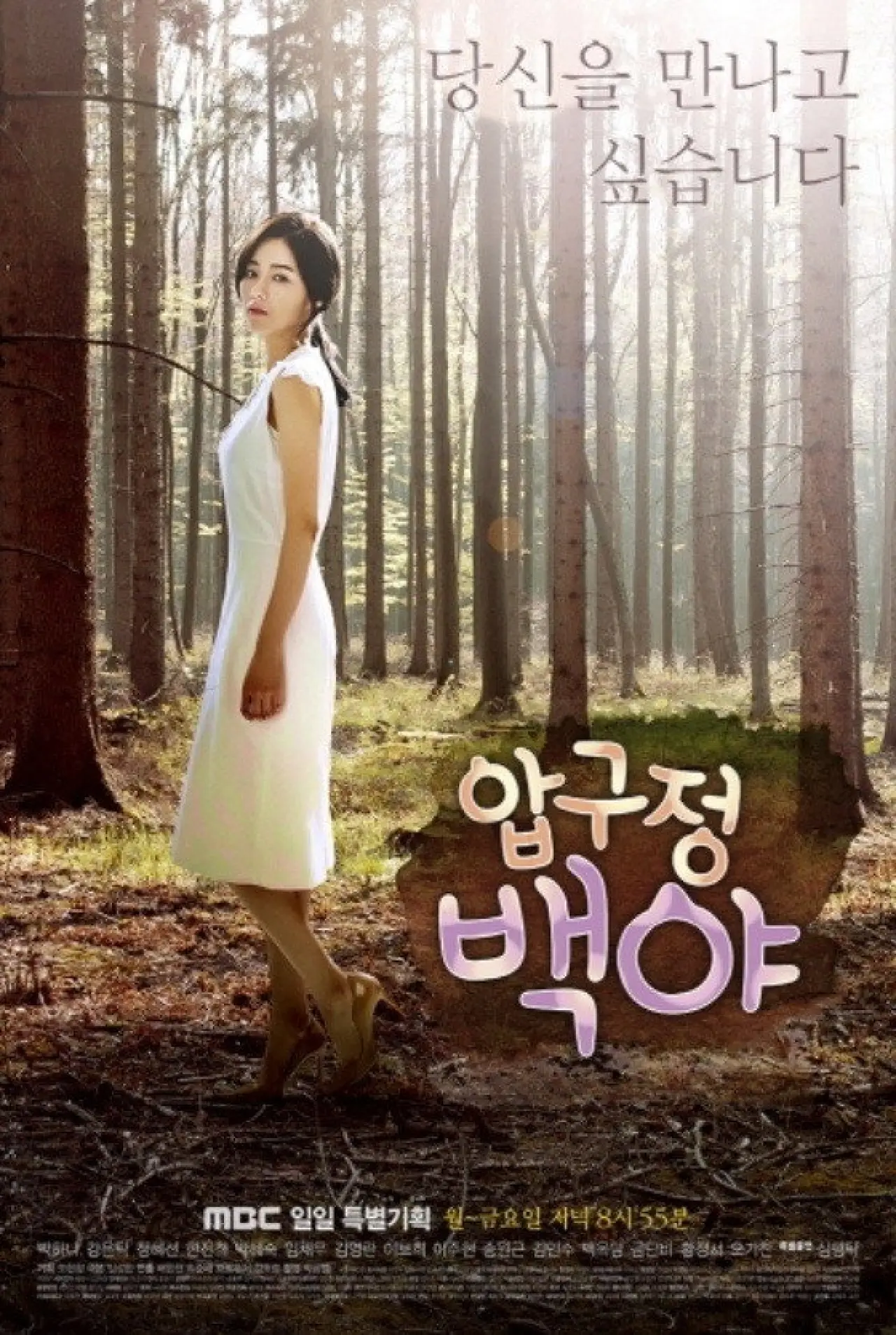 Series poster "Apgujeong Midnight Sun"