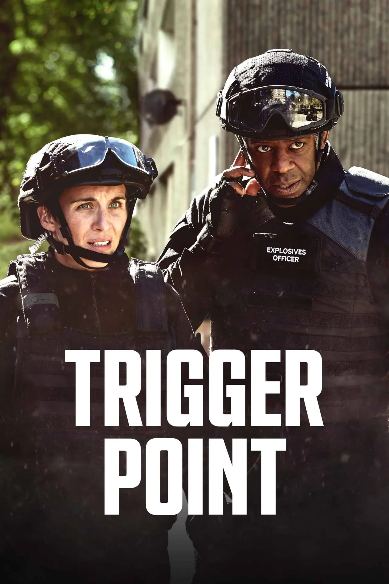 Постер к сериалу "Trigger Point"