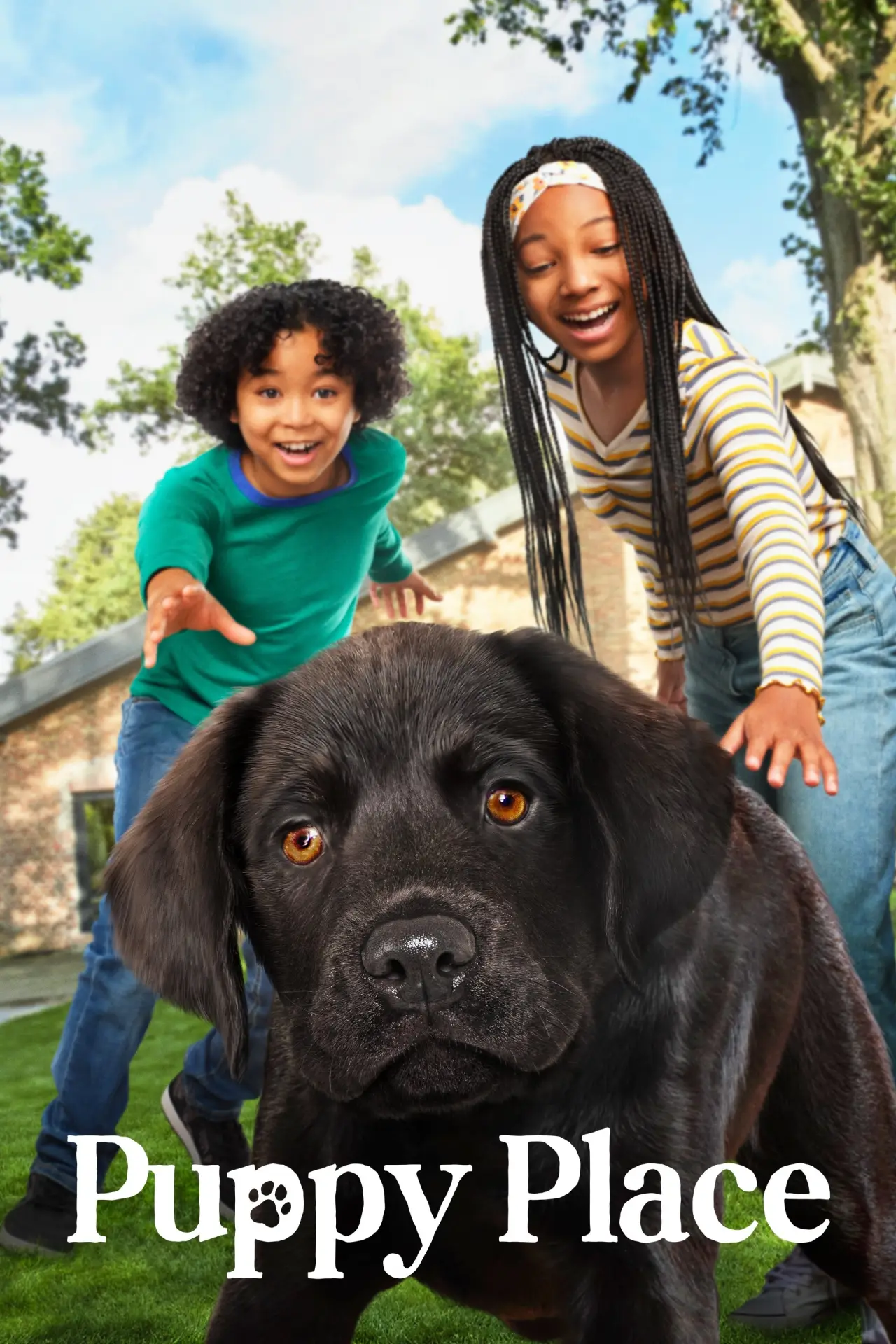 Series poster "Puppy Place"