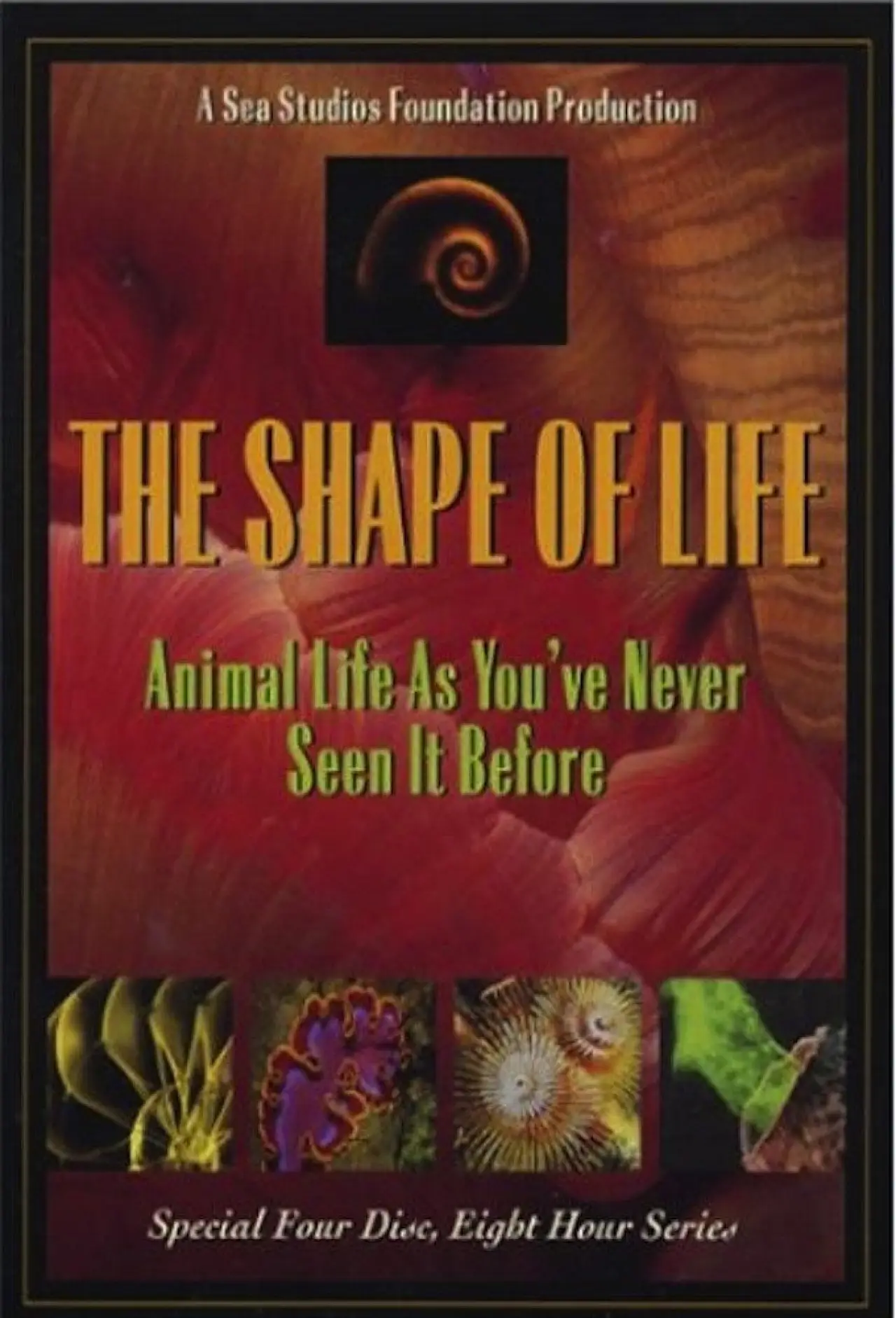 Series poster "The Shape of Life"