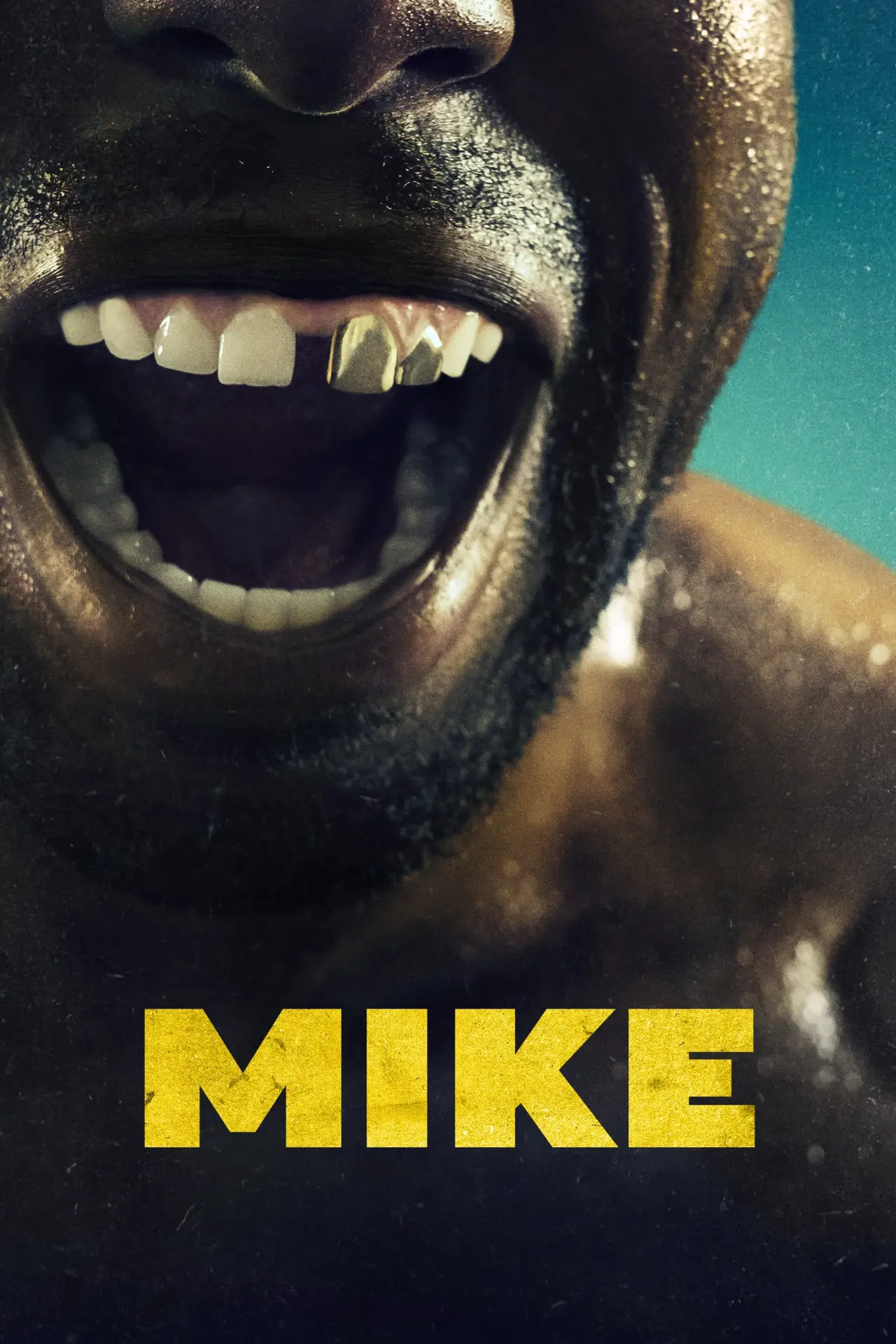 Series poster "Mike"