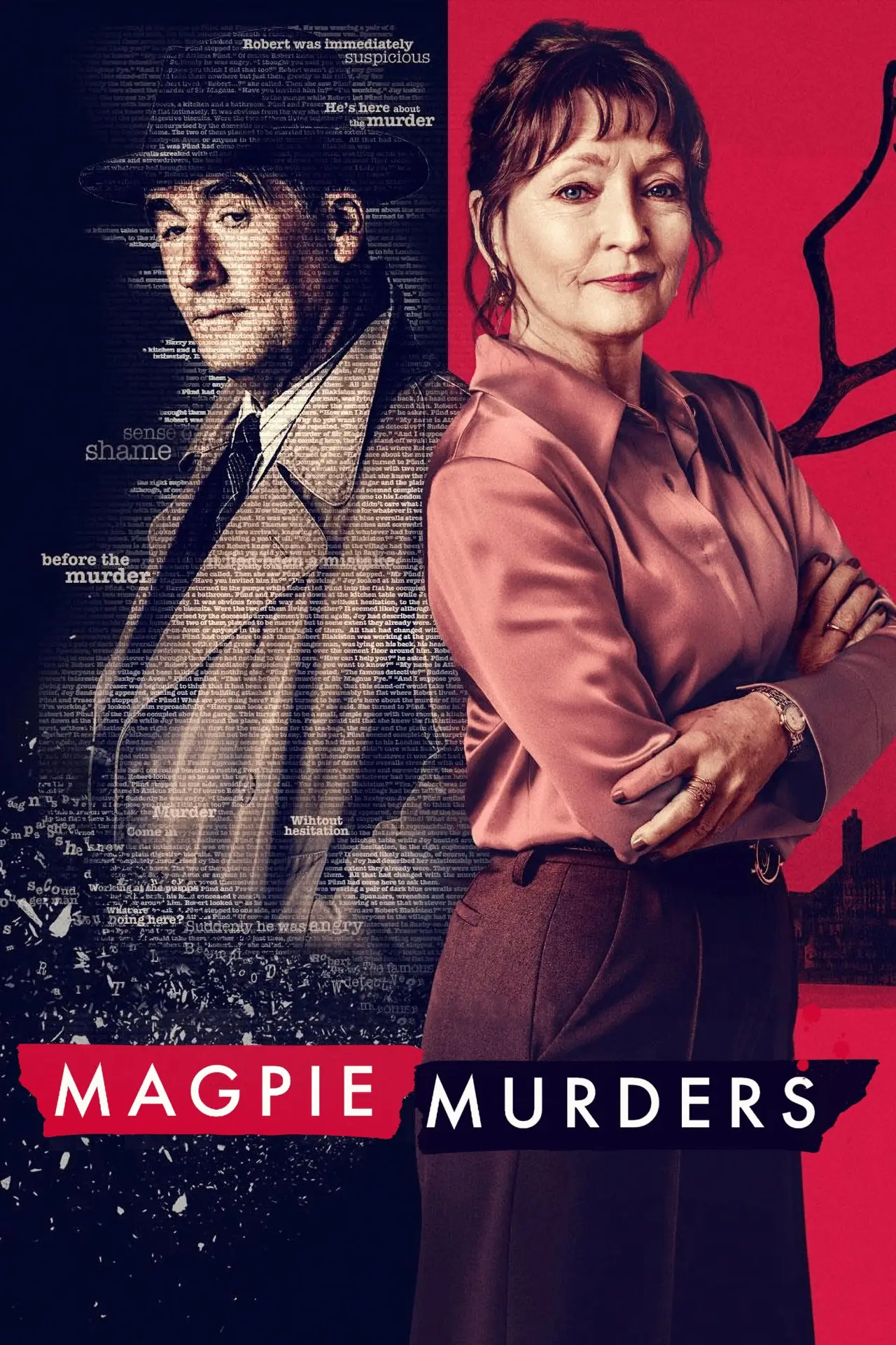Series poster "Magpie Murders"
