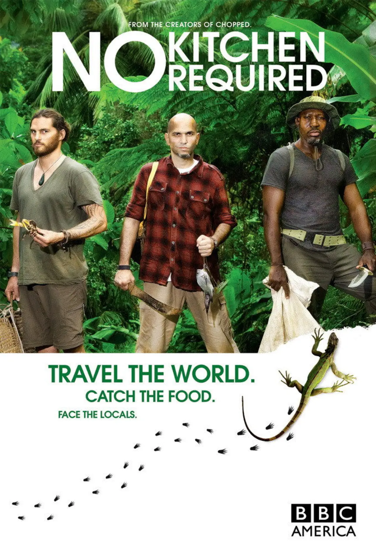 Series poster "No Kitchen Required"