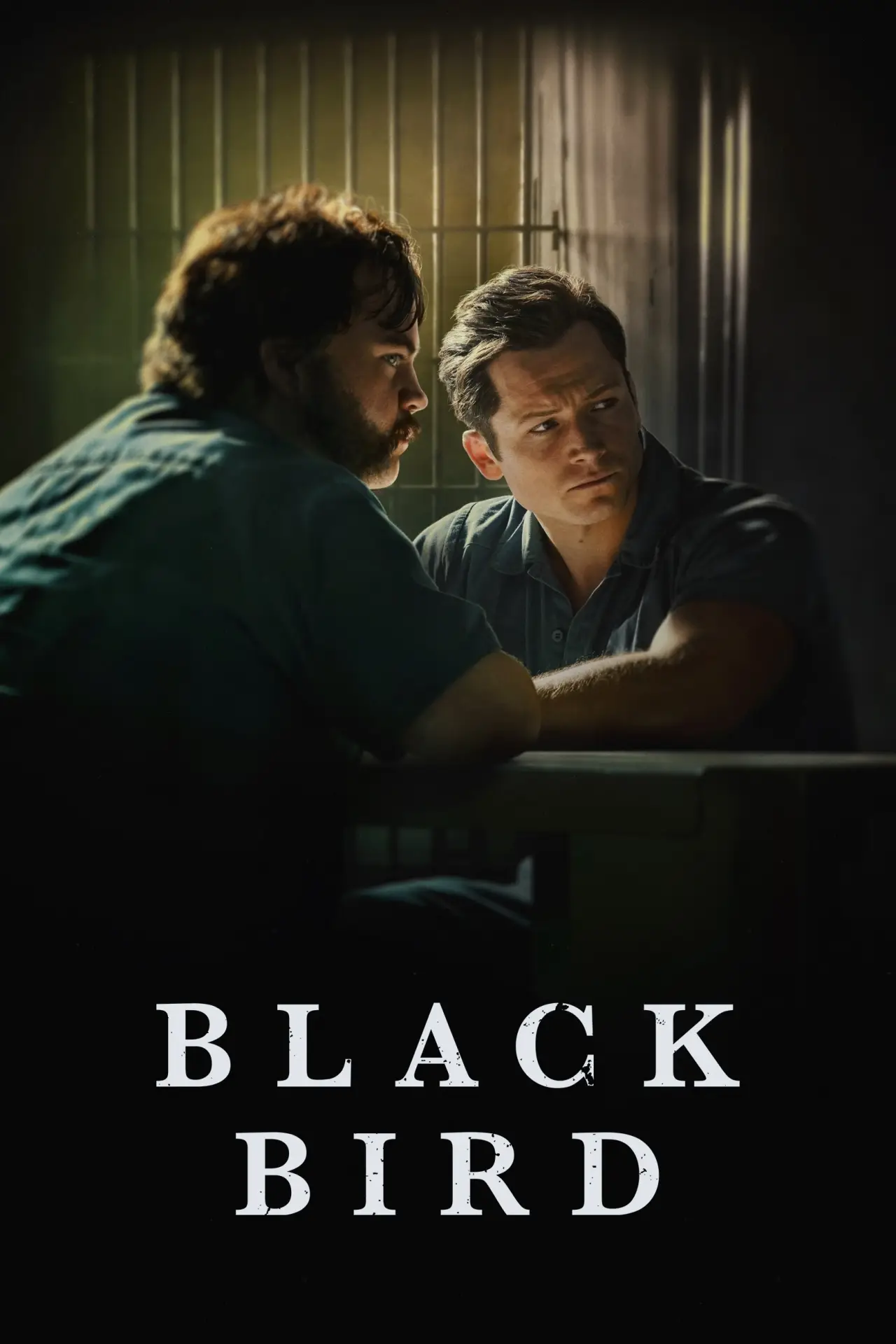 Постер к сериалу "Black Bird"