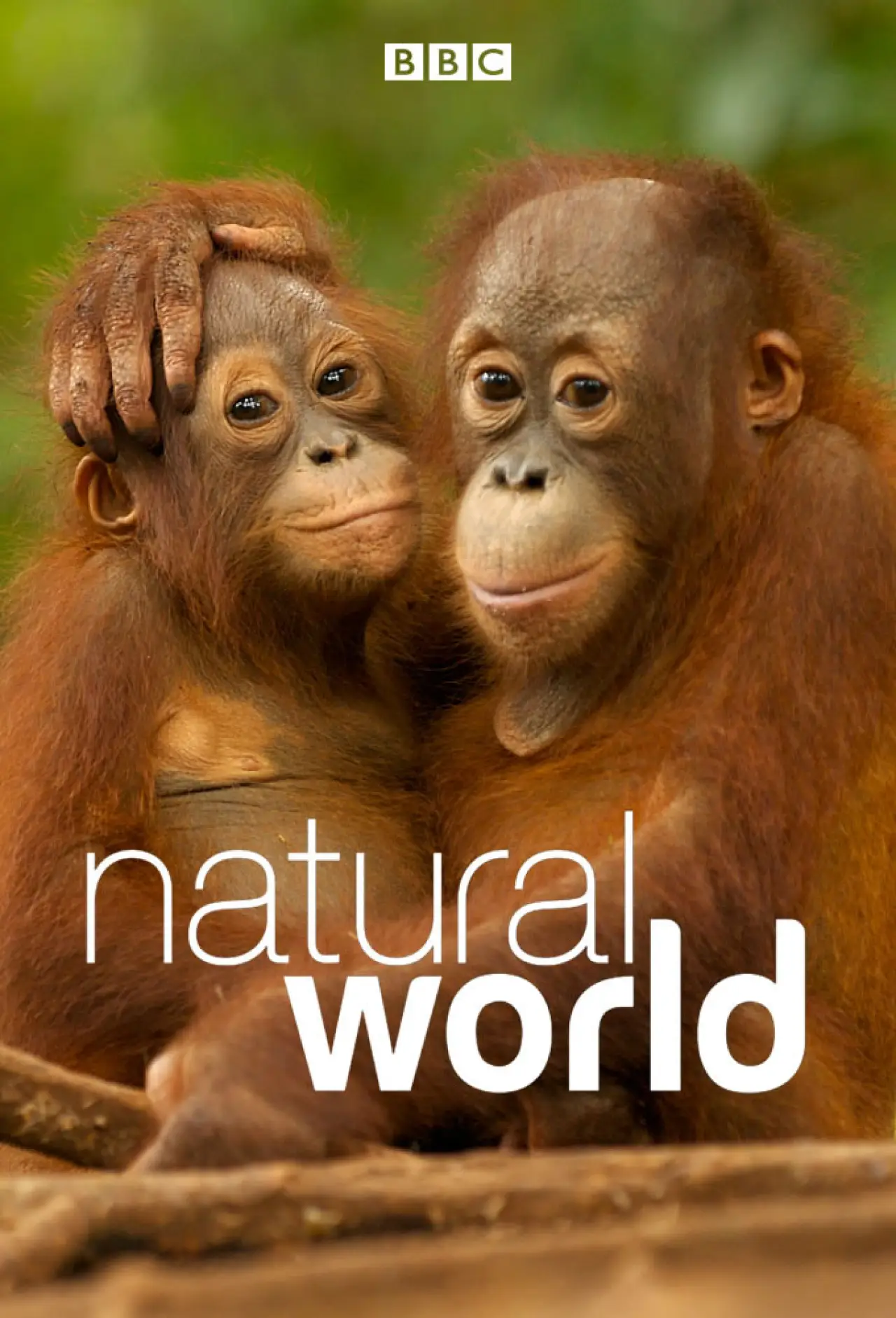 Постер к сериалу "Natural World"