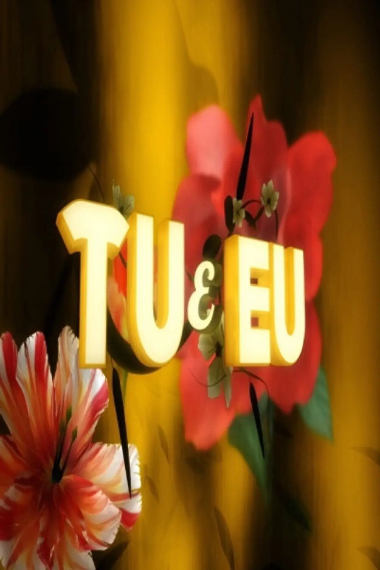 Series poster "Tu e Eu"