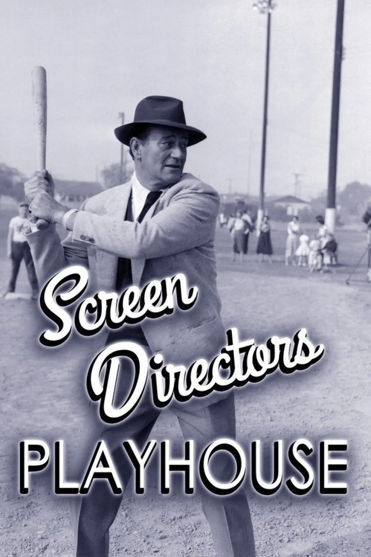 Series poster "Screen Director