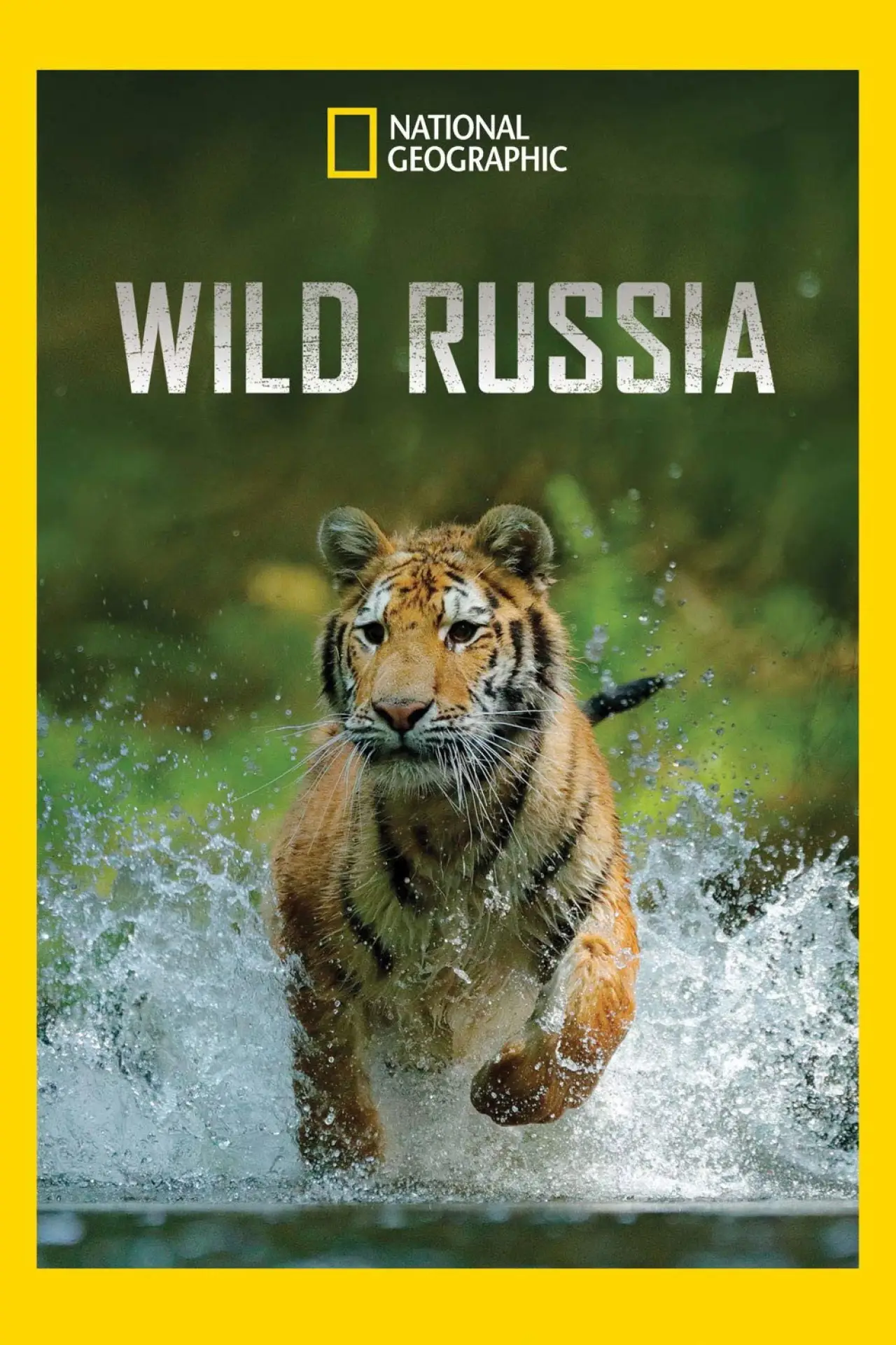 Series poster "Wild Russia"