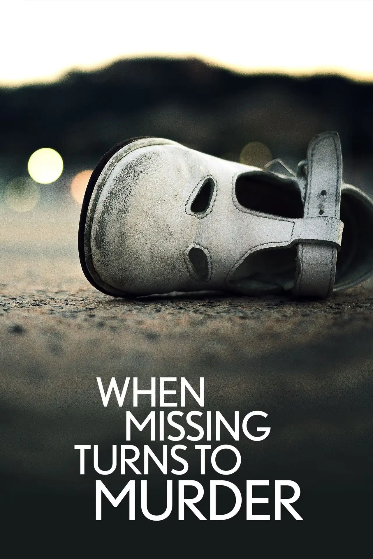 Series poster "When Missing Turns to Murder"