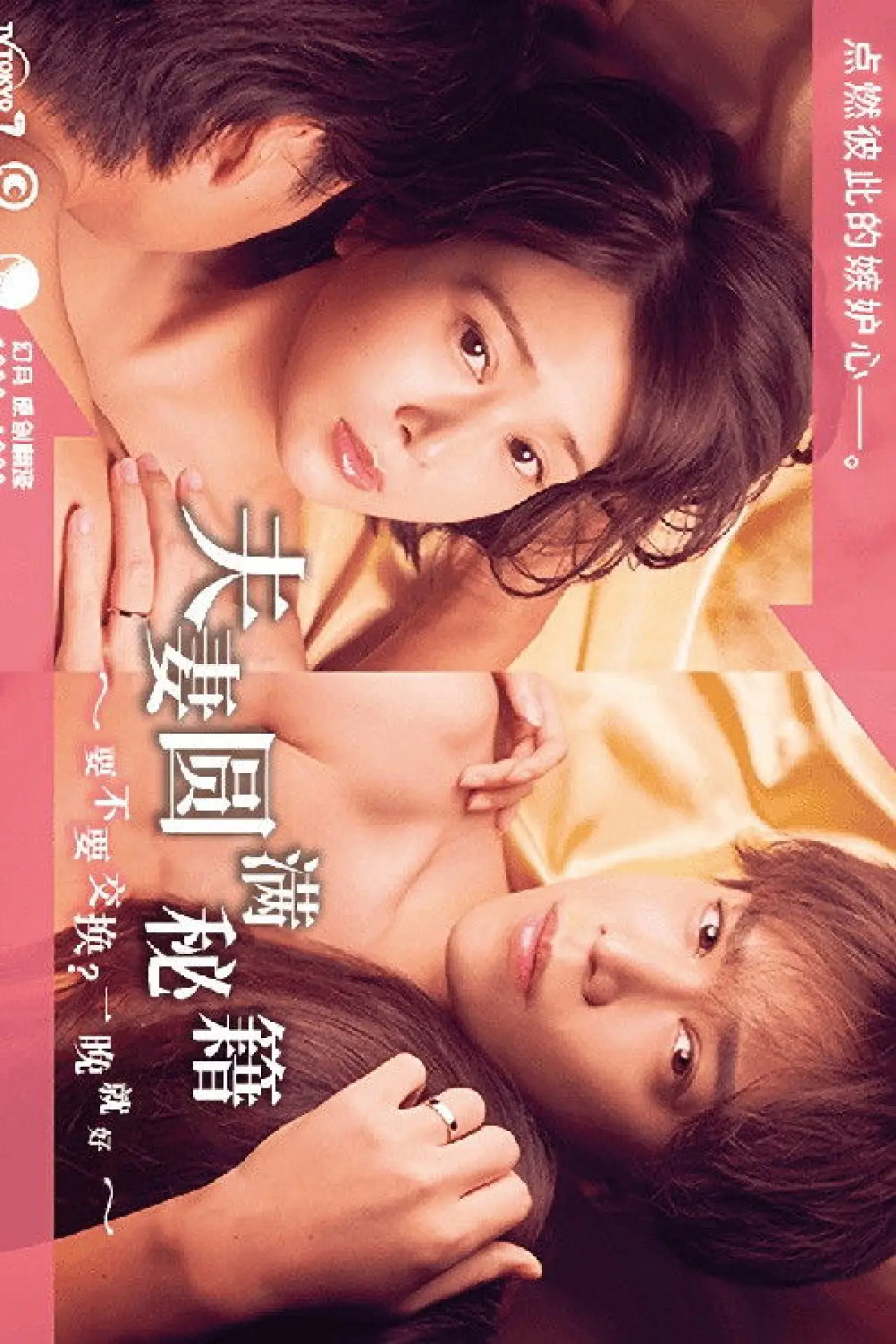 Series poster "The Recipe for a Happy Marriage"