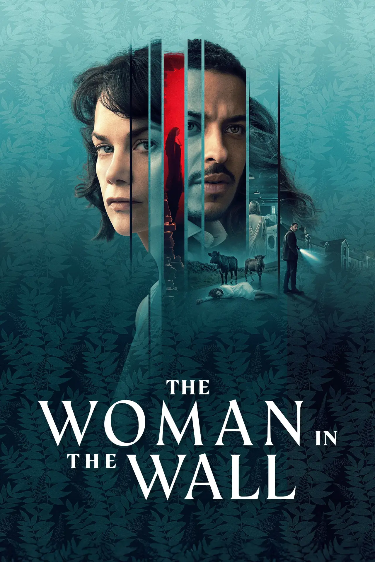 Series poster "The Woman in the Wall"