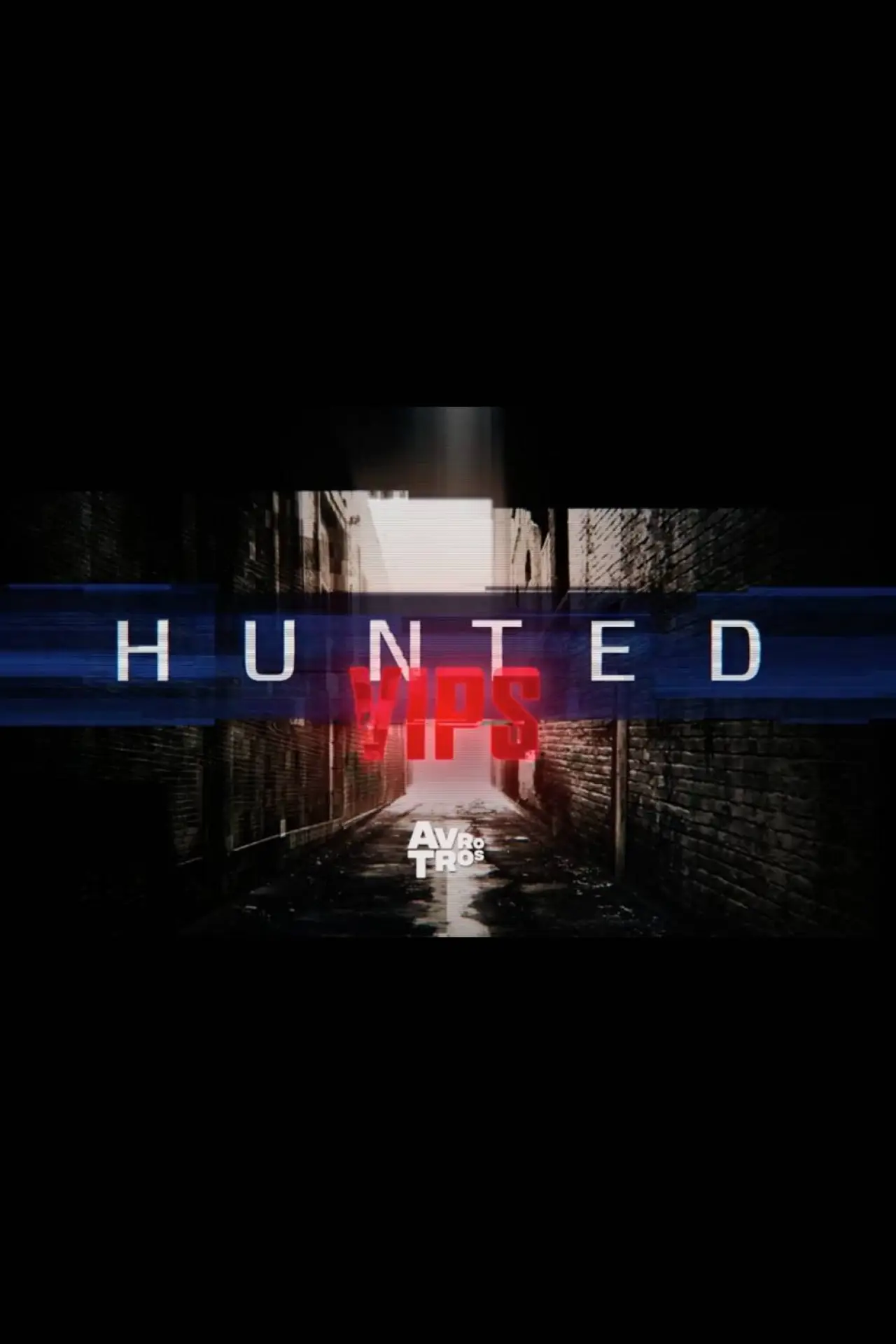 Series poster "Hunted VIPS"