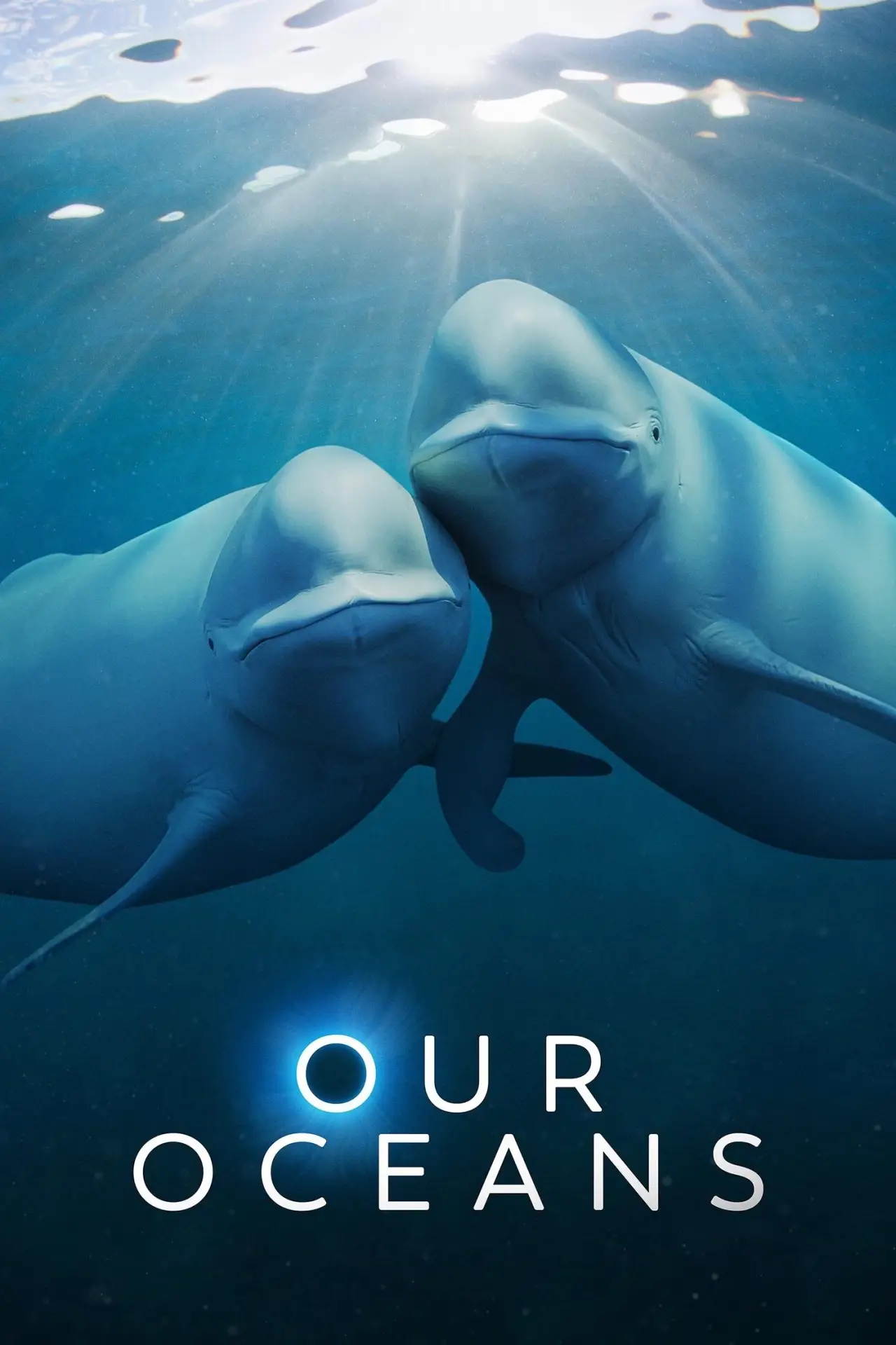 Series poster "Our Oceans"